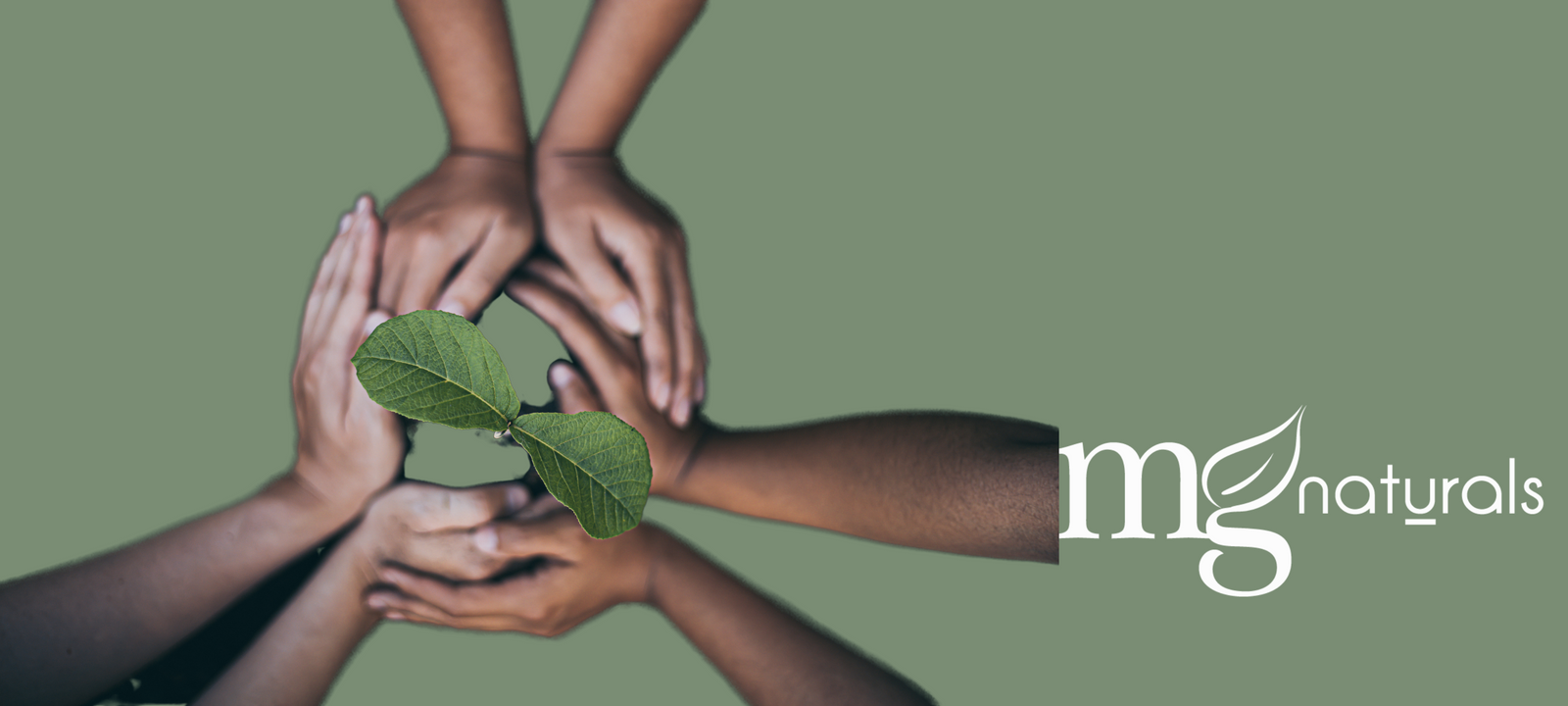 Makeup Refills: The Eco-Friendly and Budget-Savvy Beauty Solution